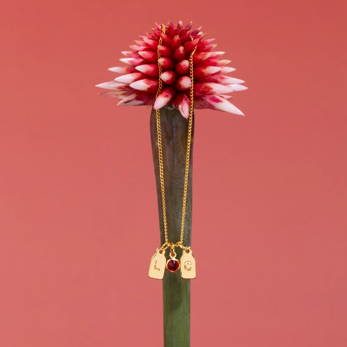 Collar de Iniciales y Piedra de Aniversario